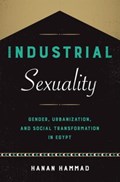 Industrial Sexuality | Hanan Hammad | 