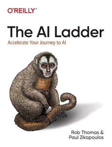 The AI Ladder