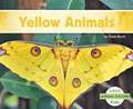 Yellow Animals | Teddy Borth | 