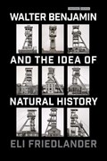 Walter Benjamin and the Idea of Natural History | Eli Friedlander | 