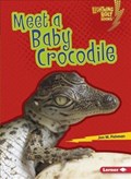 Meet a Baby Crocodile | Jon Fishman | 