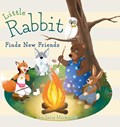 Little Rabbit Finds New Friends | Sanja Markovski | 