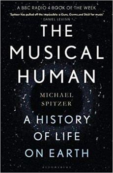 The Musical Human