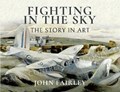 Fighting in the Sky | John Fairley | 