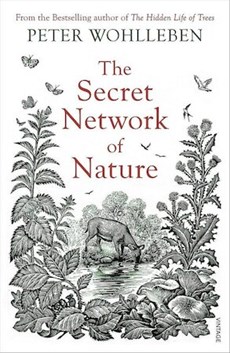 The Secret Network Of Nature