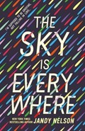 The Sky Is Everywhere | Jandy Nelson | 