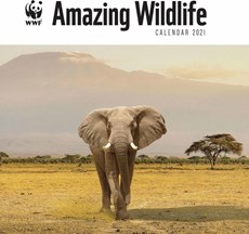 Amazing Wildlife WWF Kalender 2021