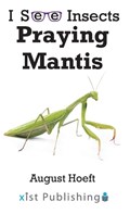 Praying Mantis | August Hoeft | 