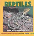 Reptiles | Deborah Dennard | 