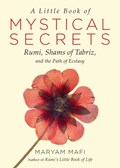 A Little Book of Mystical Secrets | Maryam (Maryam Mafi) Mafi | 
