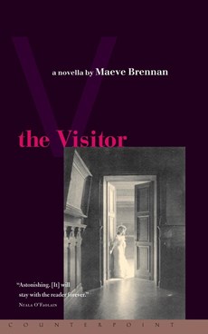 The The Visitor