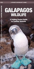 Galapagos Wildlife: An Introduction to Familiar Species | James Kavanagh | 