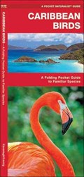Caribbean Birds | James ; Waterford Press Kavanagh | 