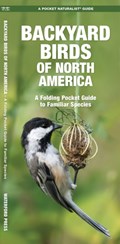 Backyard Birds of North America | James Kavanagh ; Waterford Press | 