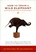 How to Train a Wild Elephant | Jan Chozen Bays | 