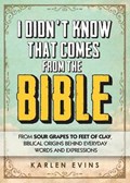 I Didn't Know That Comes from the Bible | Karlen Evins | 