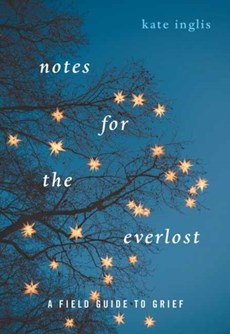 Notes for the Everlost