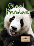 Giant Pandas | Tom Greve | 