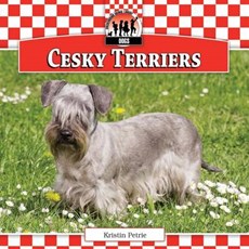 Cesky Terriers