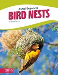 Bird Nests | Stacy Tornio | 