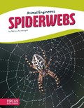 Spiderwebs | Nancy Furstinger | 