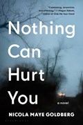 Nothing Can Hurt You | Nicola Maye Goldberg | 
