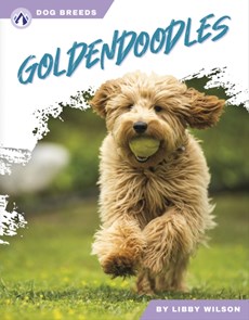 Dog Breeds: Goldendoodles