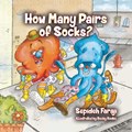 How Many Pairs of Socks? | Sepideh Faraji | 