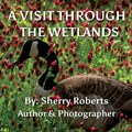 A Visit Through the Wetlands | Sherry Roberts | 