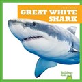 Great White Shark | Jenna Lee Gleisner | 