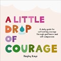 A Little Drop of Courage | Hayley Kaye | 