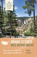 Yellowstone and Grand Teton's Best Nature Walks: 29 Easy Ways to Explore the Parks' Ecology | Roddy Scheer | 