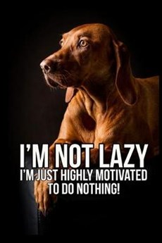 I'm not lazy I'm just highly motivated to do nothing