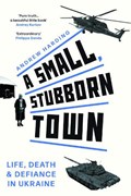 A Small, Stubborn Town | Andrew Harding | 
