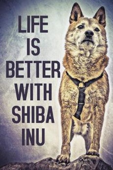Life Is Better With Shiba Inu