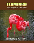 Flamingo: Amazing Facts & Pictures | Armando Williams | 
