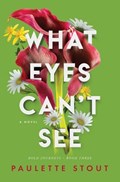 What Eyes Can't See | Paulette Stout | 