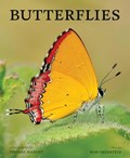 Butterflies | Ronald Orenstein | 