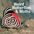 Weird Butterflies and Moths | Ronald Orenstein | 