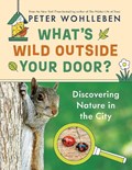 What's Wild Outside Your Door? | Peter Wohlleben | 