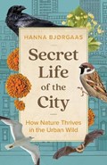 Secret Life of the City | Hanna Hagen BjÃ¸rgaas | 