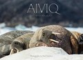 Aiviq: Life With Walruses | Paul Souders | 