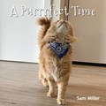 A Purrrfect Time | Sam Miller | 