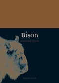 Bison | Desmond Morris | 