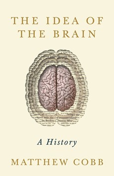 Idea of the brain: a history