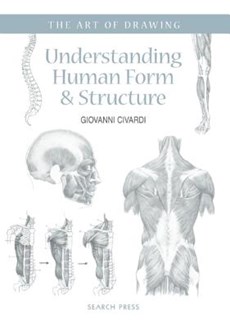 Art of Drawing: Understanding Human Form & Structure