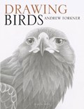Drawing Birds | Andrew Forkner | 