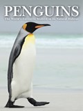 Penguins | Tom Jackson | 