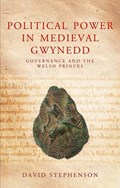 Political Power in Medieval Gwynedd | David Stephenson | 