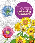 Flowers Colour by Numbers | Else Lennox | 